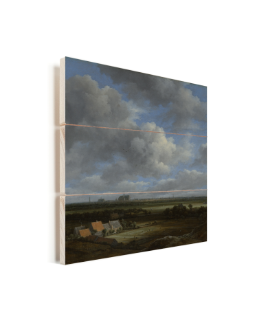 Gezicht op Haarlem uit het noordwesten - Schilderij van Jacob van Ruisdael Vurenhout met planken