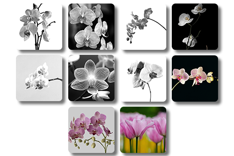 Vierkante onderzetters - Set bloemen 1-thumbnail-2