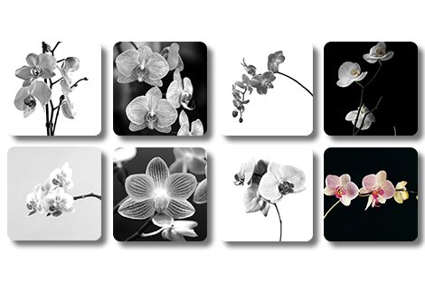 Vierkante onderzetters - Set bloemen 1-thumbnail-3
