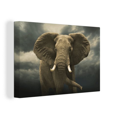 Canvas dieren